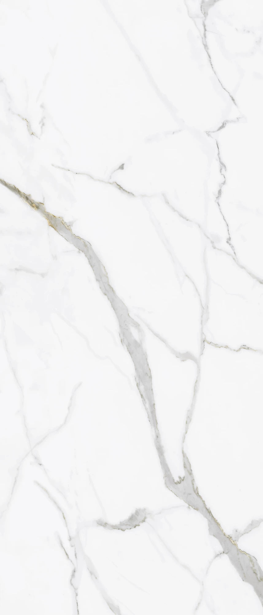 Calacatta Unique Polished