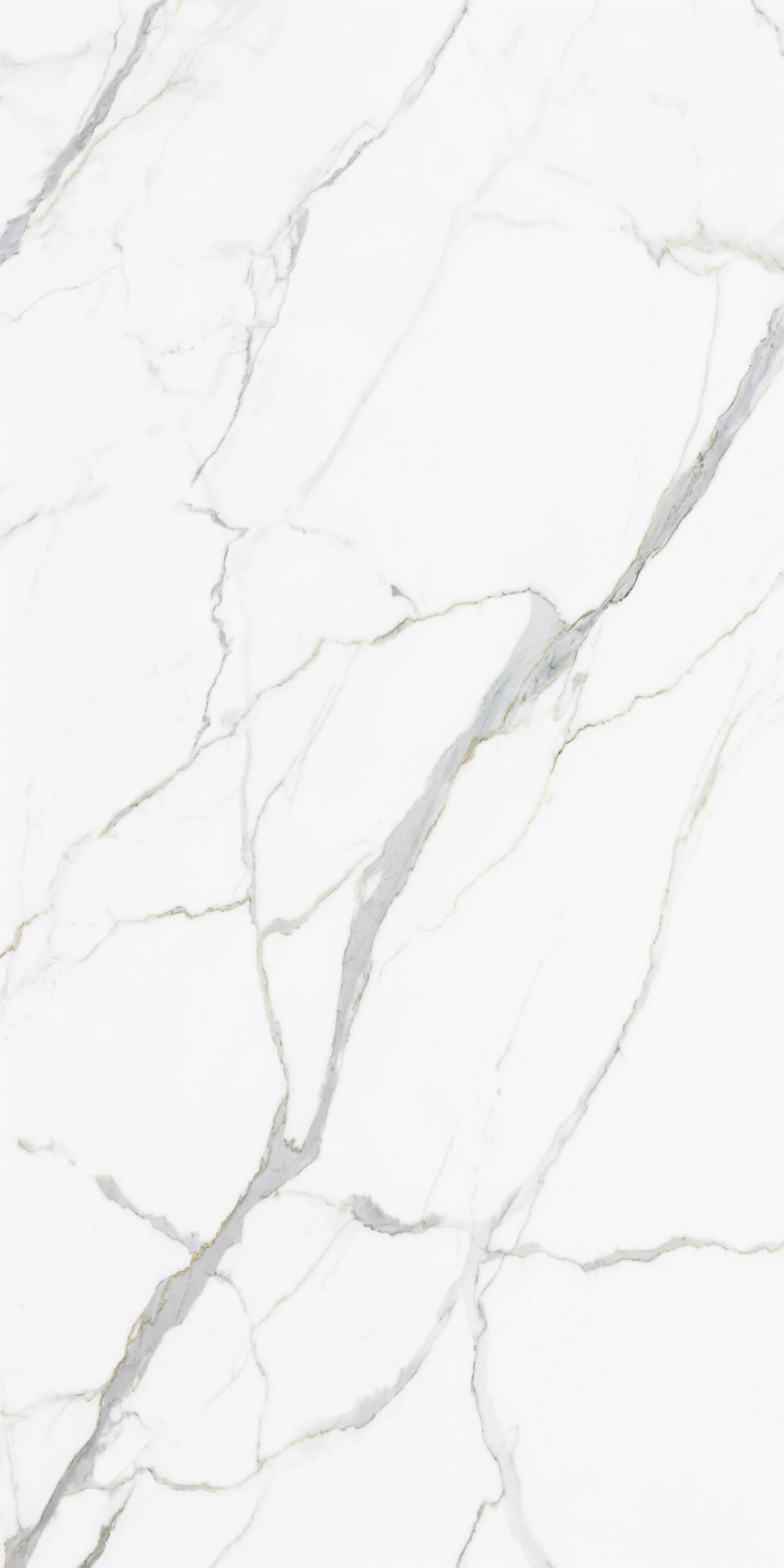 Calacatta Unique Satin