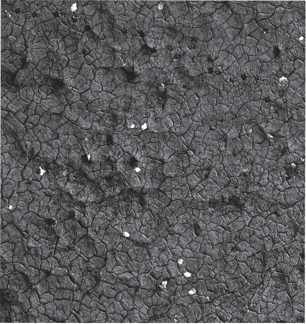 Image_From_Kalesinterflex_Catalogue_2024_180bb350-046e-4b44-a2d5-e28b7363071d.png